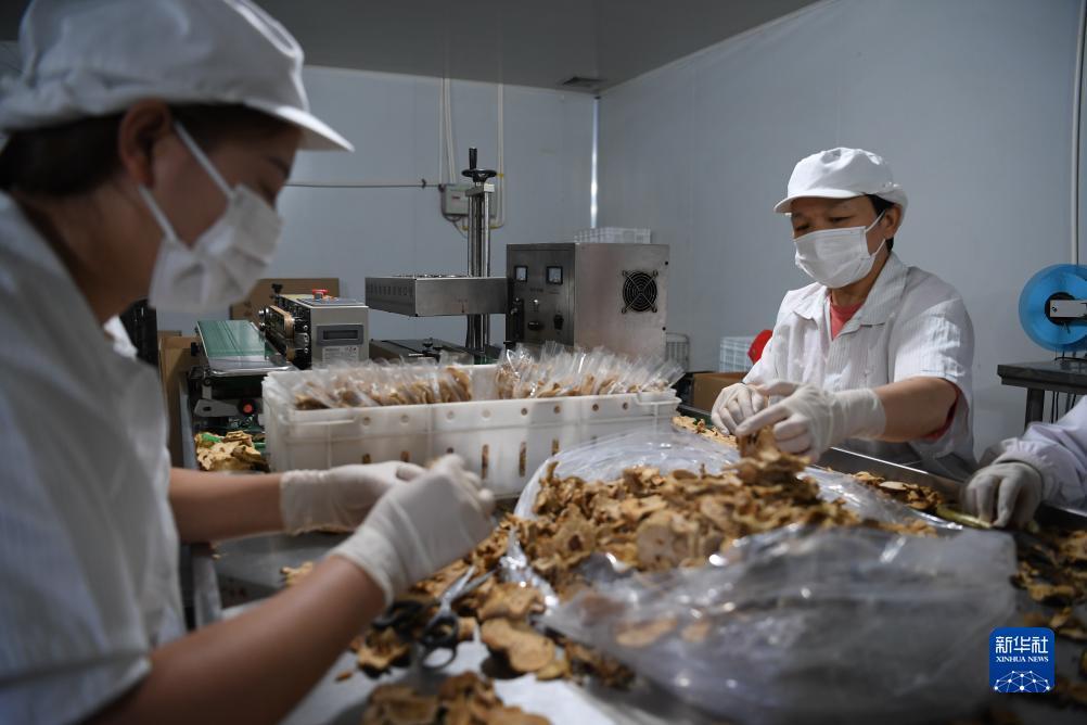 mg大全赌场